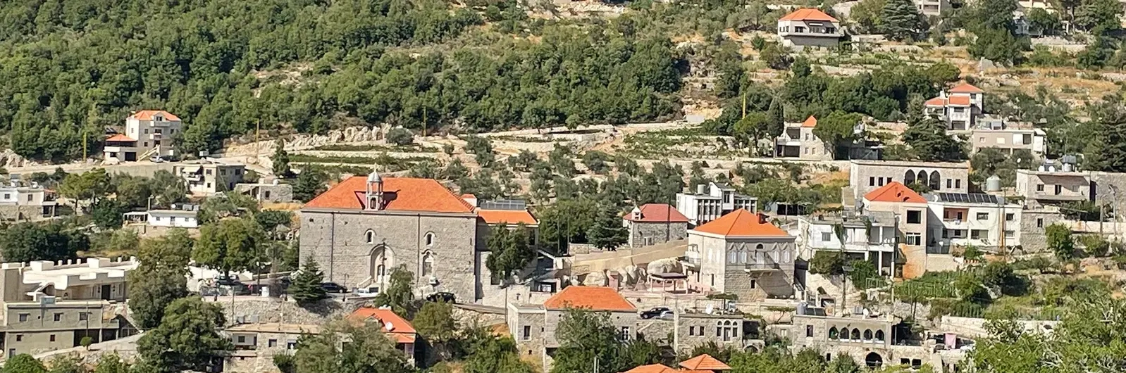 Chadi El Hany